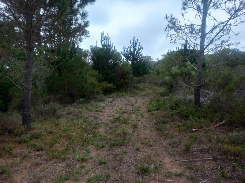 2 Bedroom Property for Sale in Wilderness Western Cape